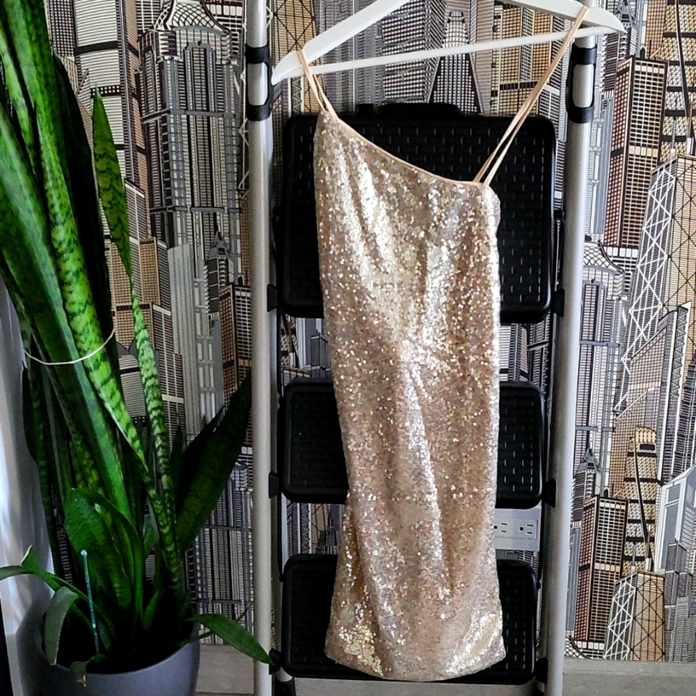 H&M Sequin Dress